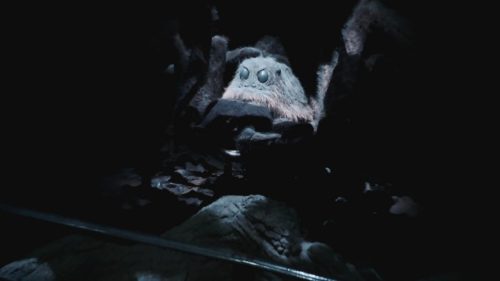 Hämäkäkkejä