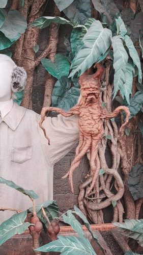 Kuvassa näkyy alruuna (Mandrake) Tylypahkan kasvihuoneesta
