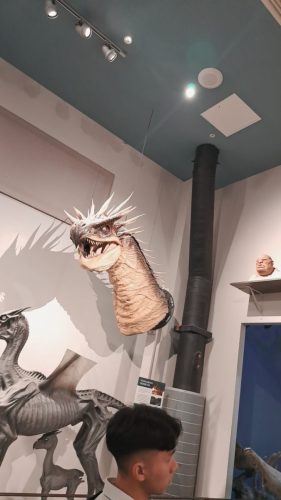 Unkarilainen sarvipyrstö