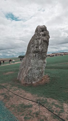 Kivi on Heel Stone